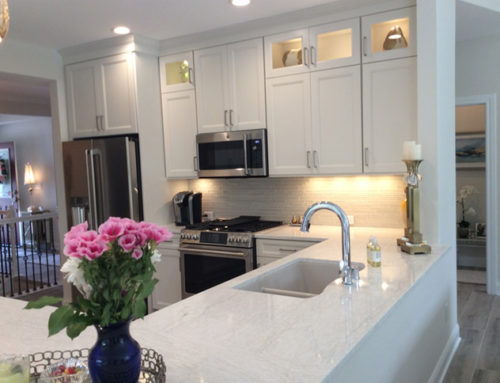 Main Floor & Kitchen
